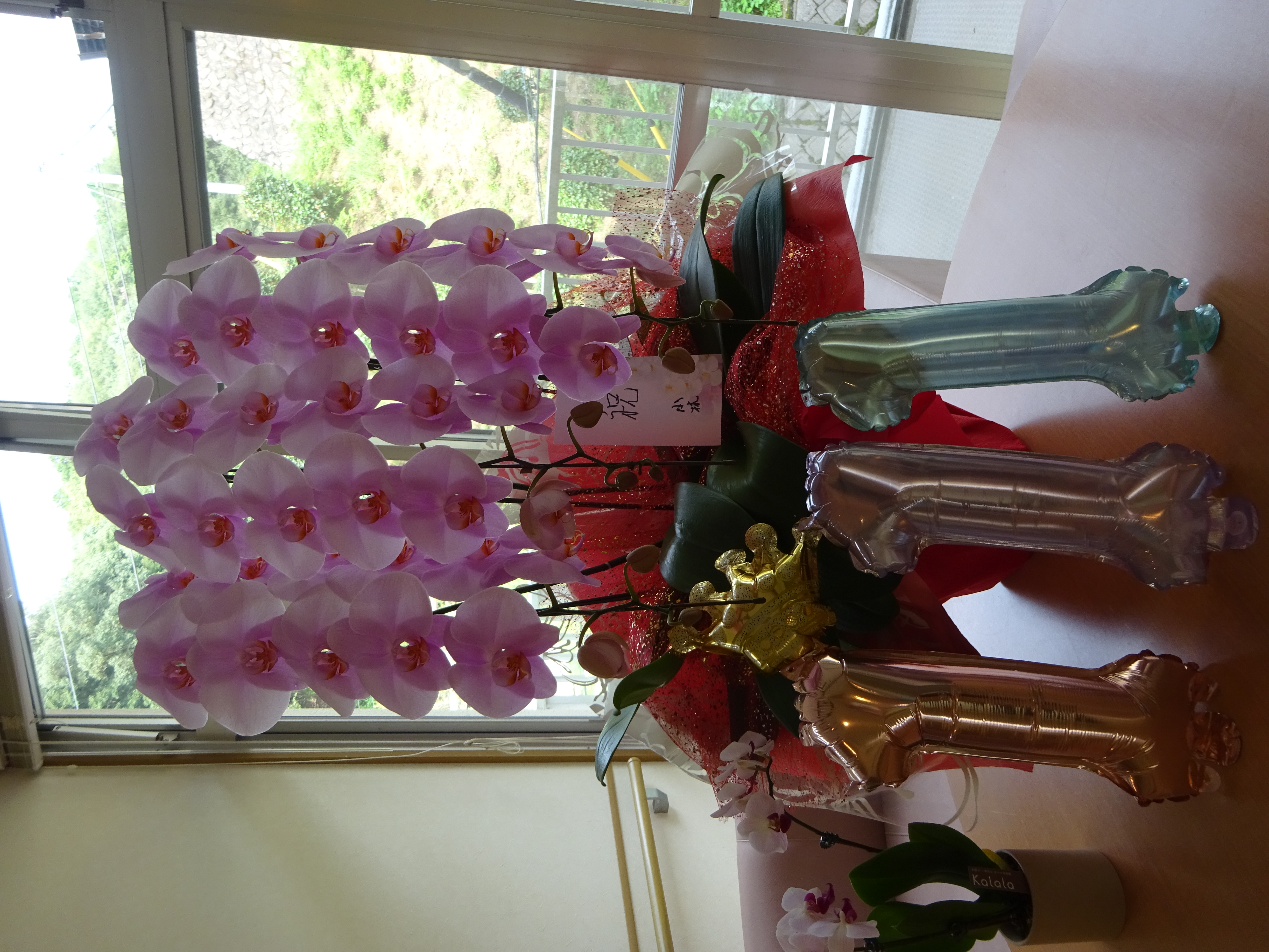 DSC09349.JPG